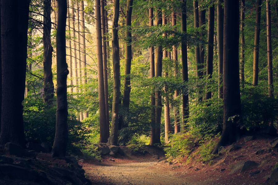 Wandern